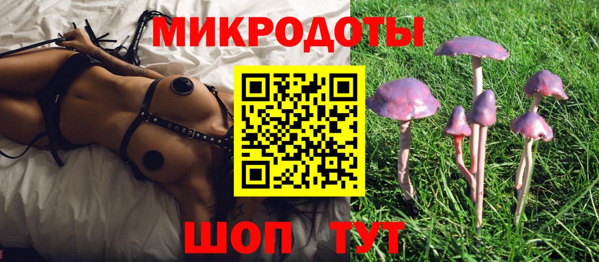 Псилоцибиновые грибы мухоморы Минусинск