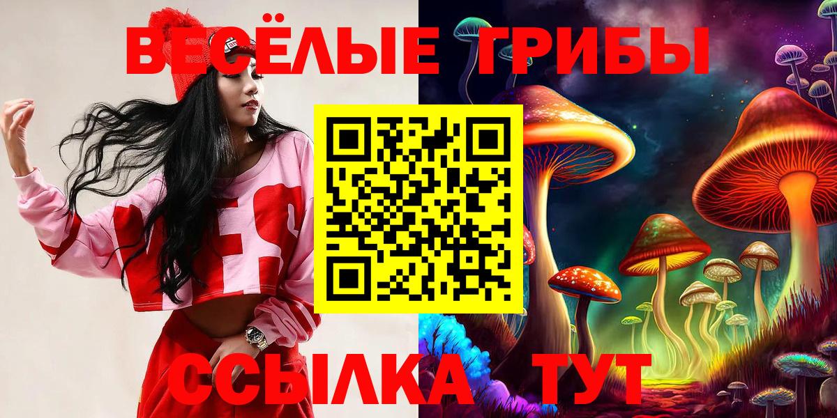 Псилоцибиновые грибы прущие грибы  Вход с VPN  Псилоцибиновые грибы Psilocybe  Минусинск 